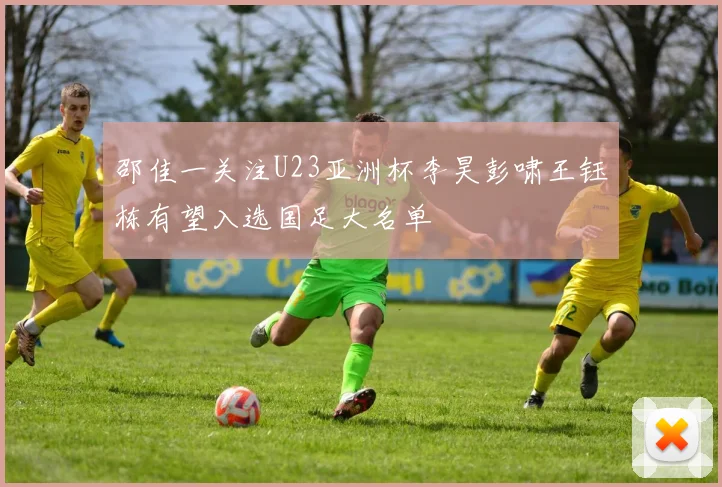 邵佳一关注U23亚洲杯李昊彭啸王钰栋有望入选国足大名单