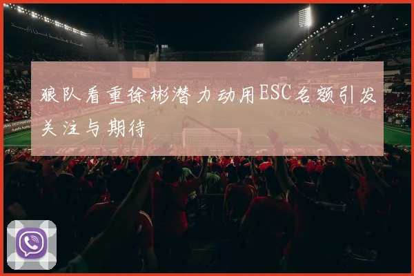 狼队看重徐彬潜力动用ESC名额引发关注与期待