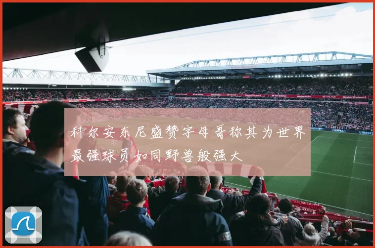 科尔安东尼盛赞字母哥称其为世界最强球员如同野兽般强大